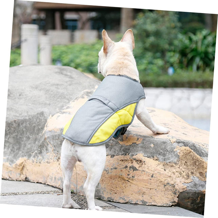 Coolify™ : Cooling Vest for Frenchie (CS13) | Stornfield