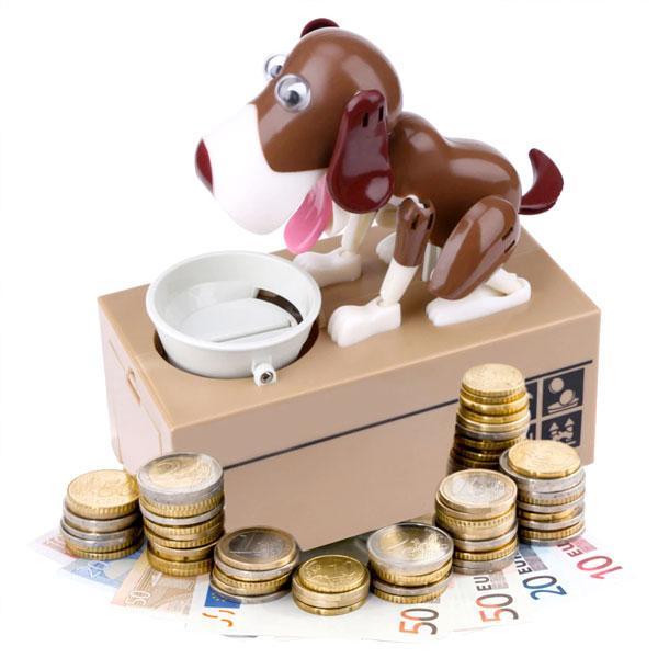 Crazy Doggy Coin Bank | Stornfield