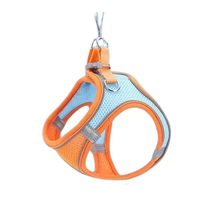 Adventurous Cat Harness with Leash – Adjustable and Reflective | Stornfield