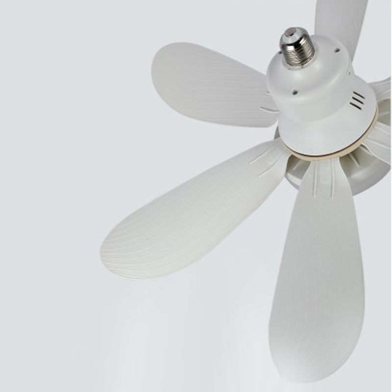 Ceiling Fans with Lights | Stornfield