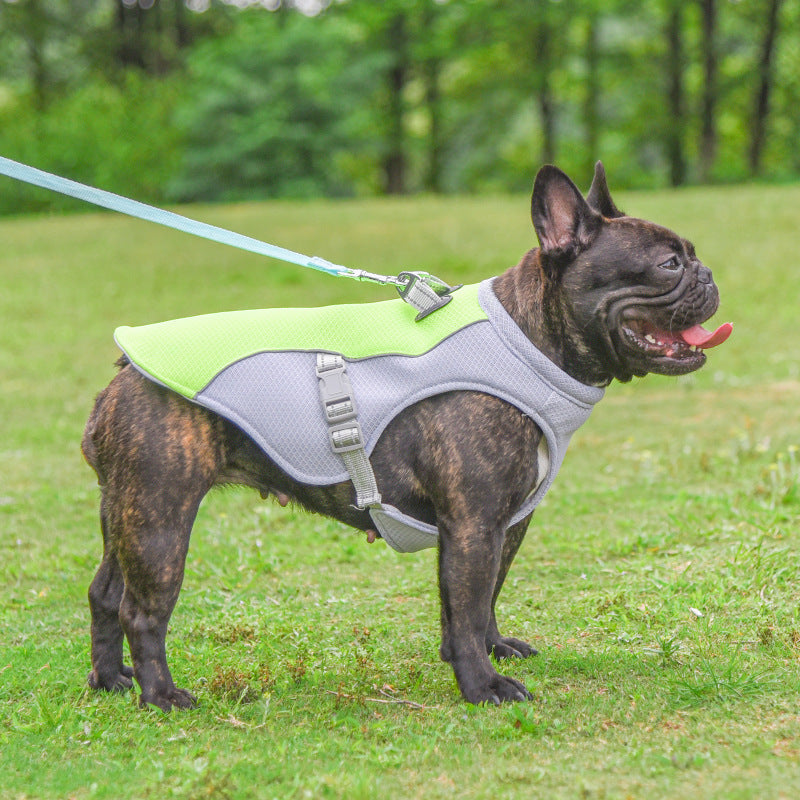 French Bulldog Summer Cooling Vest Heat Resistant Breathable Sun-proof | Stornfield