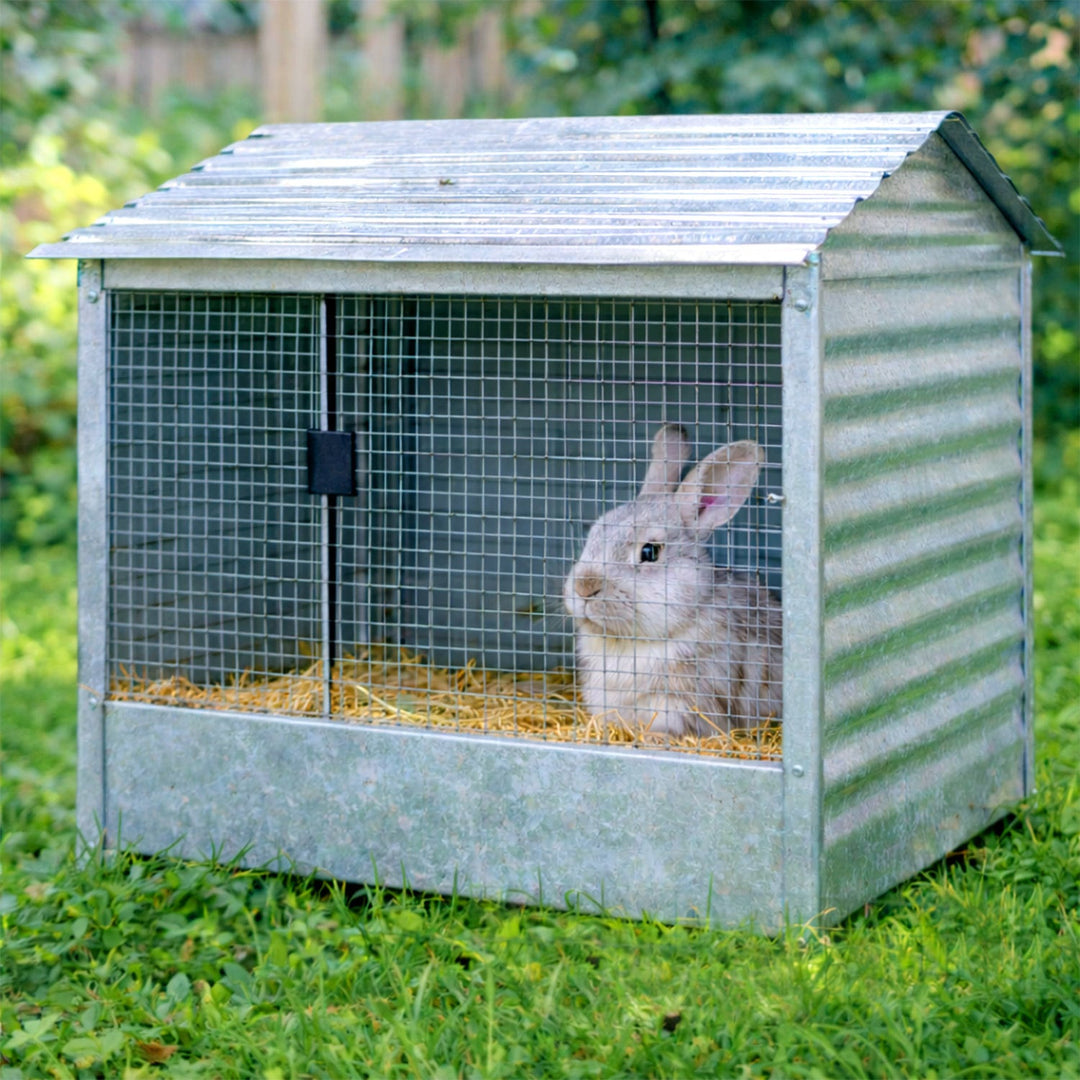 Wire mesh Galvanized 5m/10m Aviary wire Mole mesh | Stornfield
