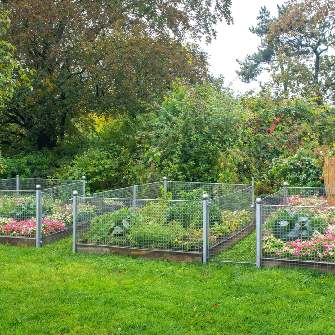 Wire mesh Galvanized 5m/10m Aviary wire Mole mesh | Stornfield