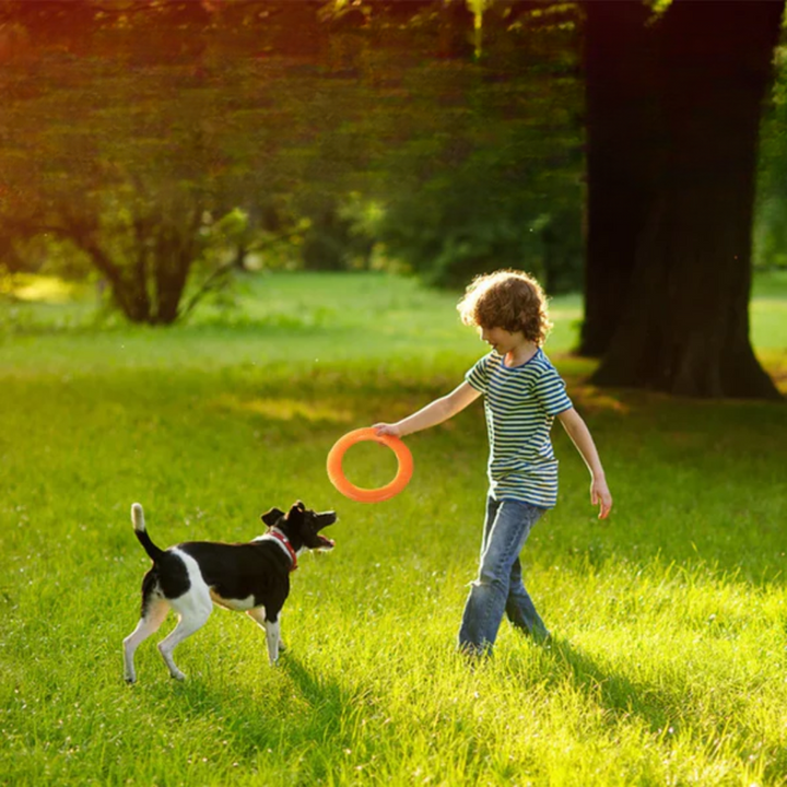 Floating EVA Training Ring for Dogs Stornfield
