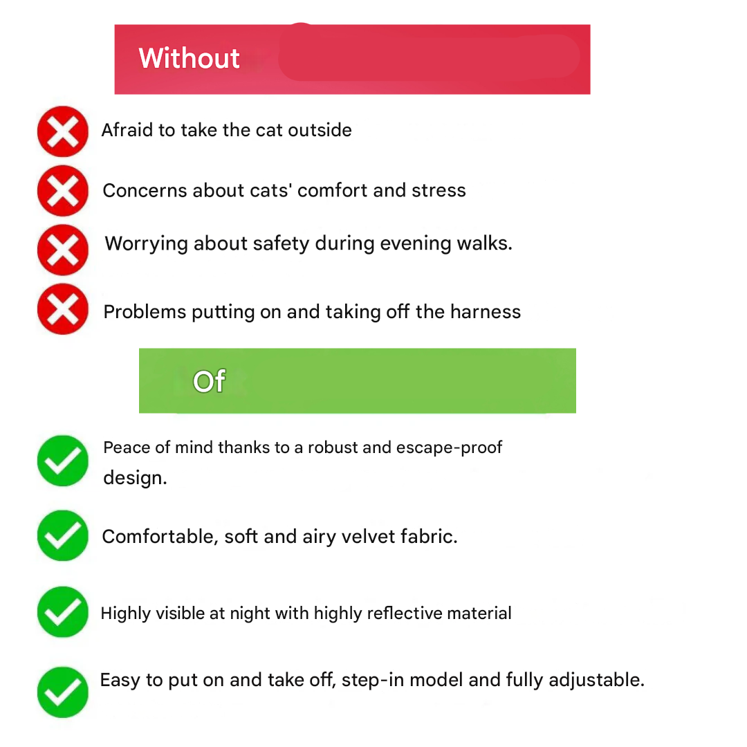 Adventurous Cat Harness with Leash – Adjustable and Reflective | Stornfield
