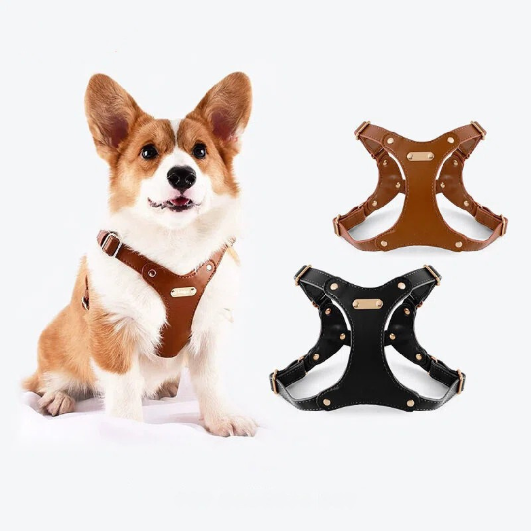 Adjustable Leather Dog Harness with Custom Engraving Stornfield