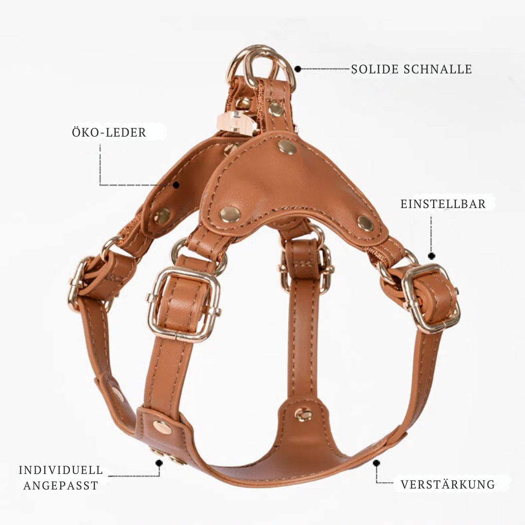 Adjustable Leather Dog Harness with Custom Engraving Stornfield