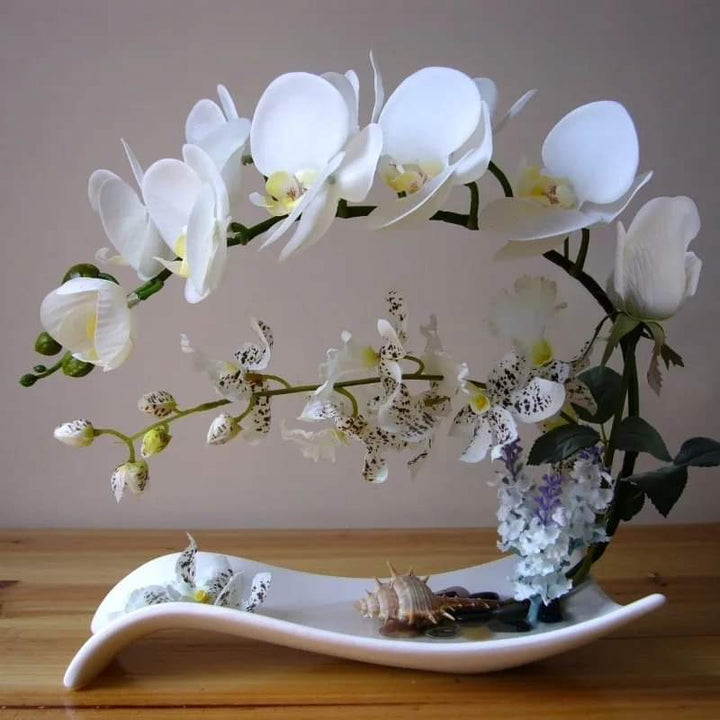 Stornfield | Decorative Orchids Artificial Flower