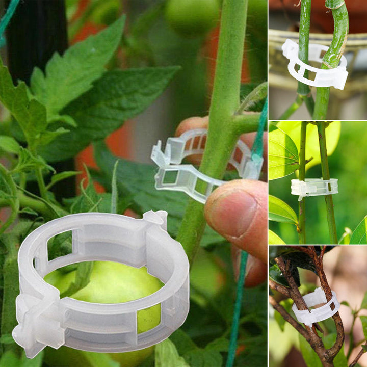 Practical Plant Support Clip | Stornfield