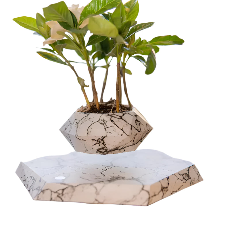 GeoSpin rotating geometric plant box Stornfield