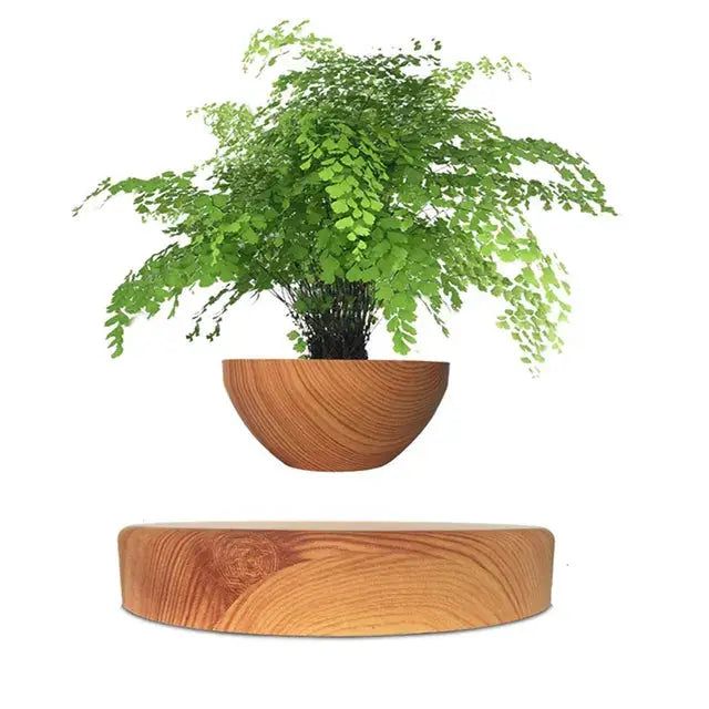 GeoSpin rotating geometric plant box Stornfield