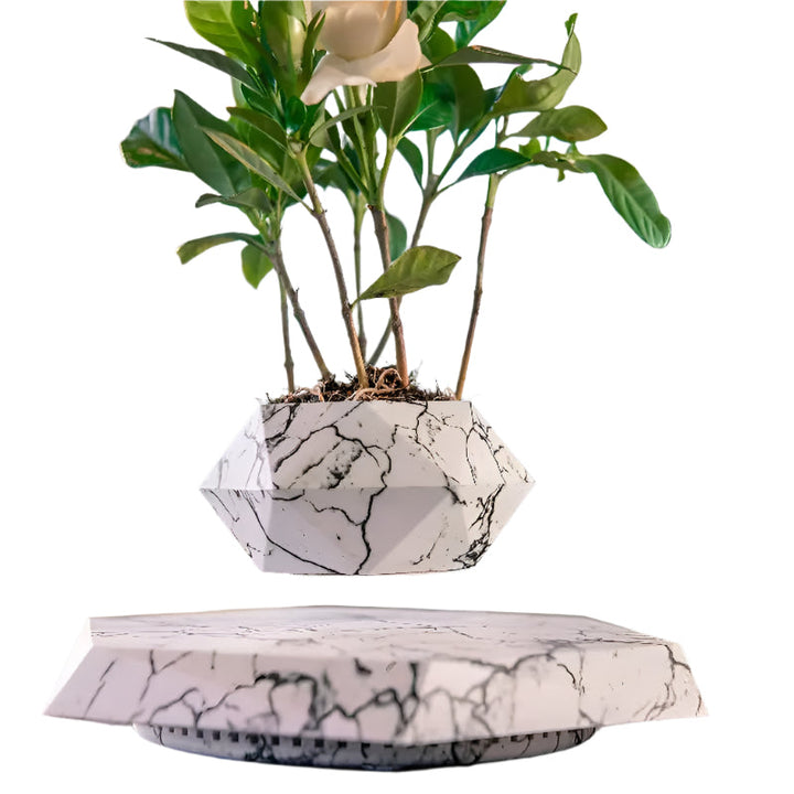 GeoSpin rotating geometric plant box Stornfield