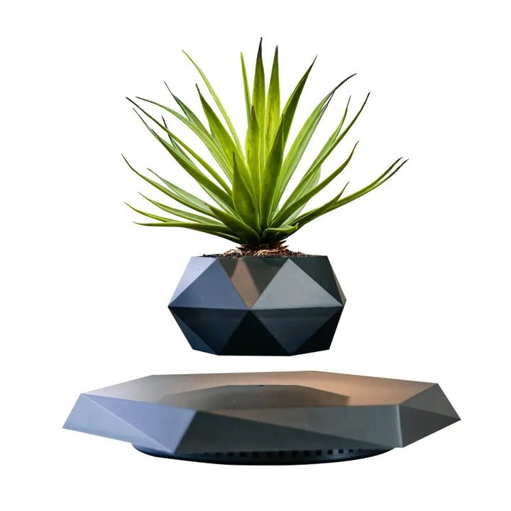 GeoSpin rotating geometric plant box Stornfield