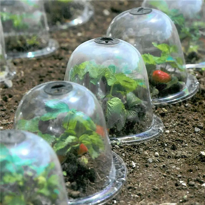 Frost Protection Clear Garden Plant Cover | Stonrfield