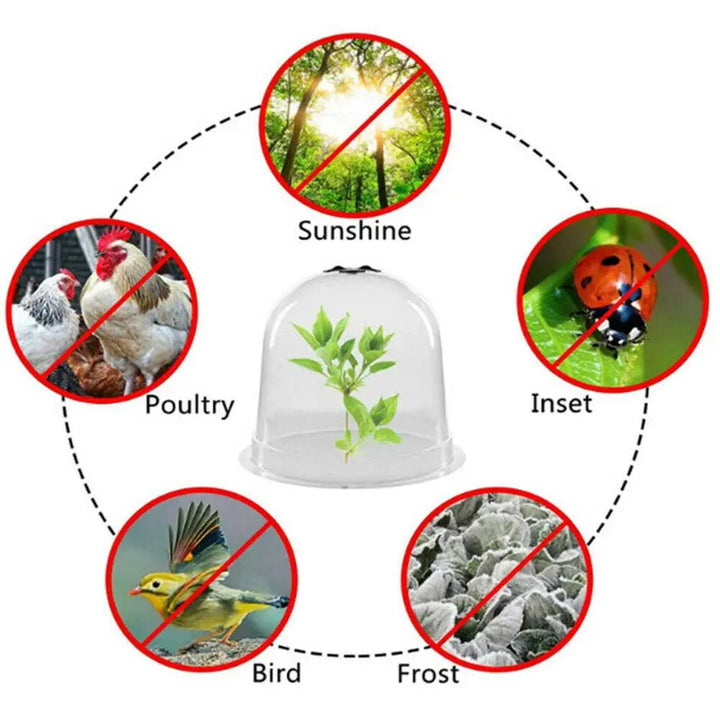 Frost Protection Clear Garden Plant Cover | Stonrfield