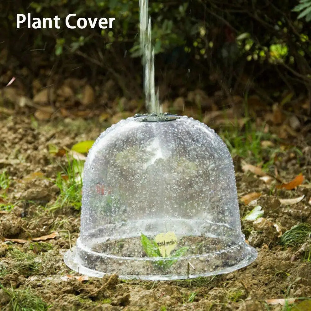 Frost Protection Clear Garden Plant Cover | Stonrfield