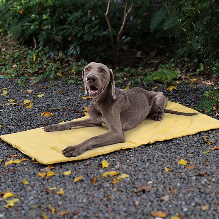 Stornfield | Foldable and Waterproof Car Dog Mat Camping Dog Mat
