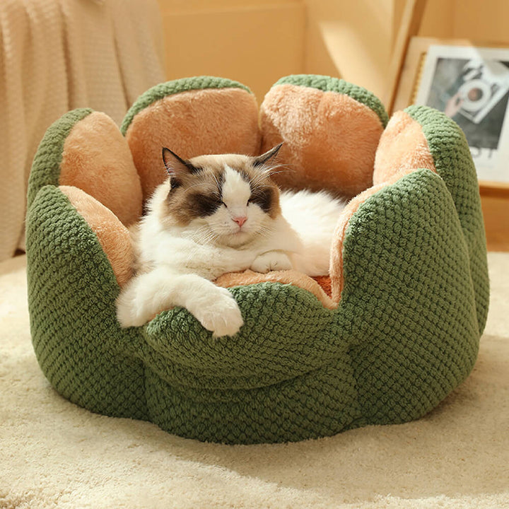 Cactus Shape Comfy Pet Bed Soft Coral Velvet Design | Stornfield