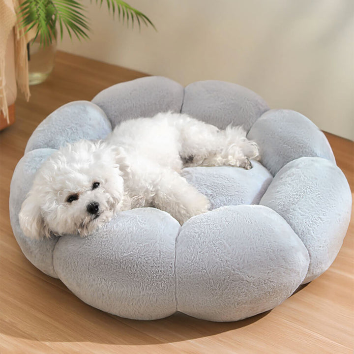 Stornfield | Flower Heat Washable Decorative Dog and Cat Bed with Full Support