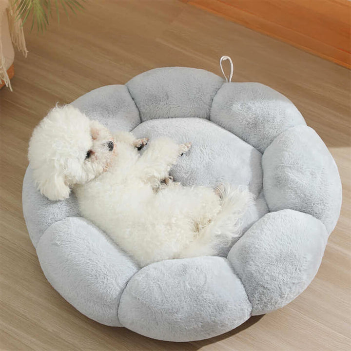 Stornfield | Flower Heat Washable Decorative Dog and Cat Bed with Full Support