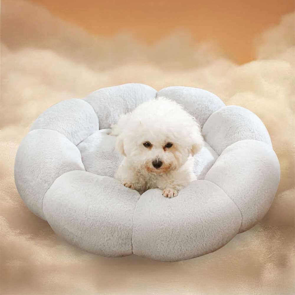 Stornfield | Flower Heat Washable Decorative Dog and Cat Bed with Full Support