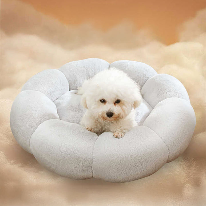 Stornfield | Flower Heat Washable Decorative Dog and Cat Bed with Full Support