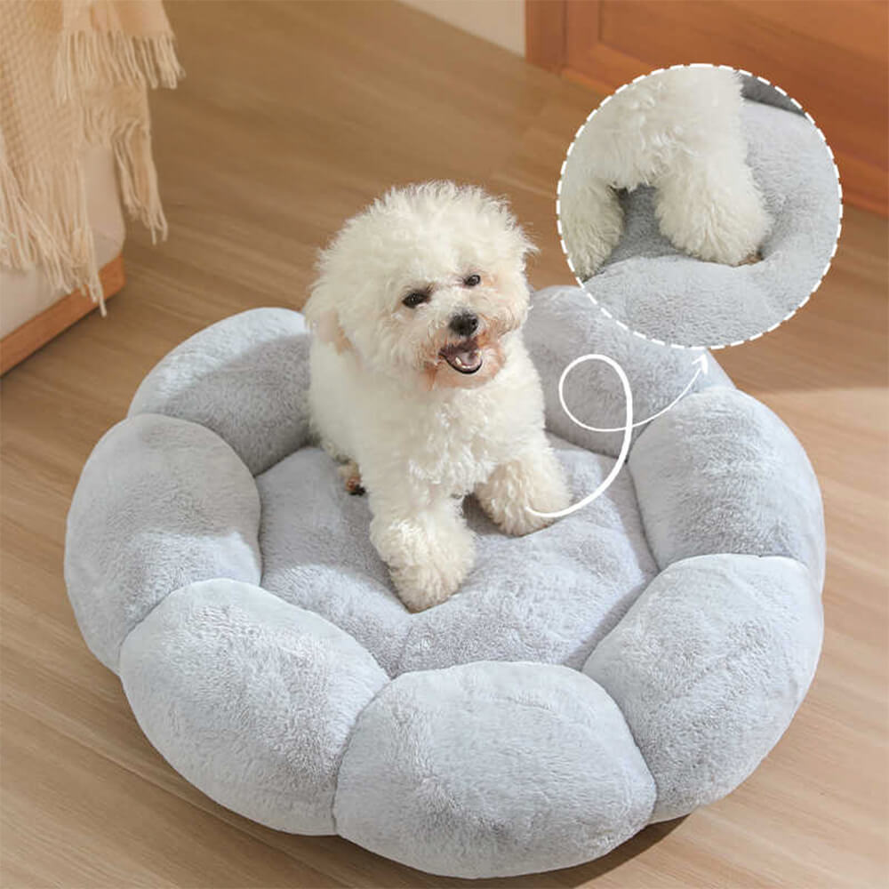 Stornfield | Flower Heat Washable Decorative Dog and Cat Bed with Full Support