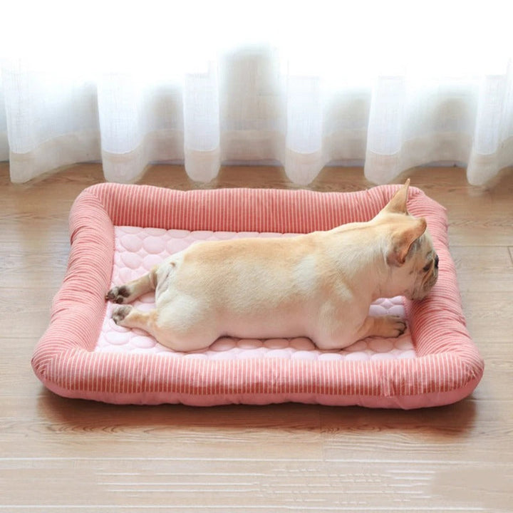 FurChill Frenchie Breathable Dog Bed – Cooling Mat with Non-Slip Base for Hot Days | Stornfield