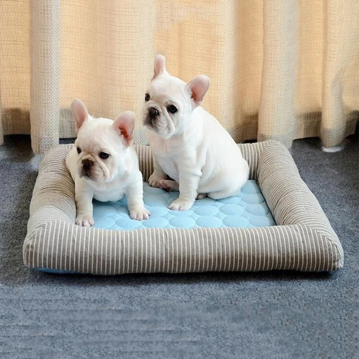 FurChill Frenchie Breathable Dog Bed – Cooling Mat with Non-Slip Base for Hot Days | Stornfield