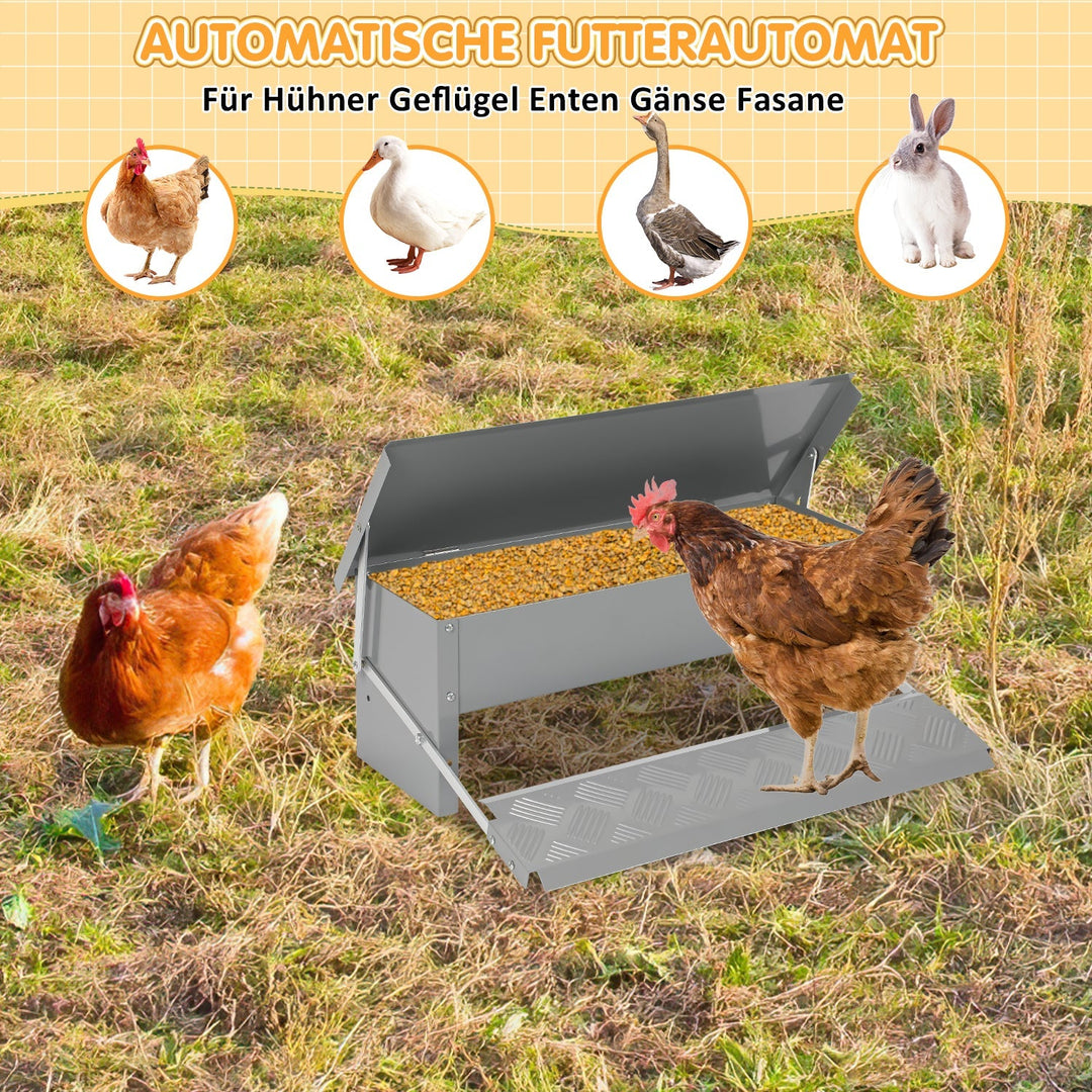 Feed dispenser feeder with gloves 5kg | Stornfield