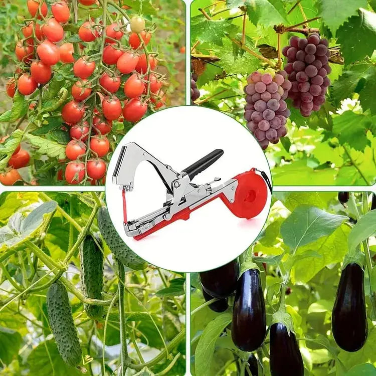 Stornfield | Garden Plant Tying Tool Set | 10 Rolls of Tape and 10,000 Staples
