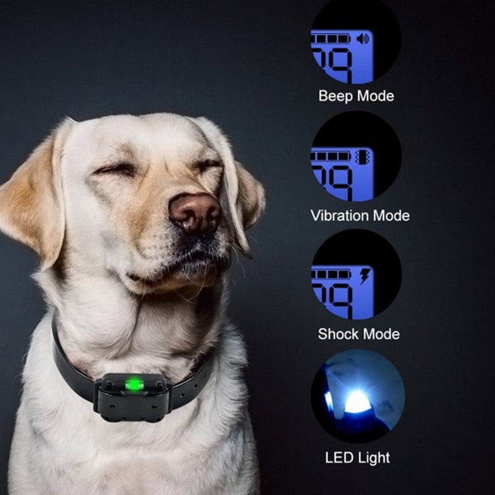 Stornfield | Long Shot Waterproof Electric Dog Training Collar
