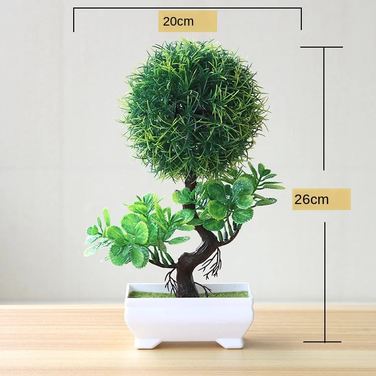 Stornfield | Small Tree Pot Bonsai Plants