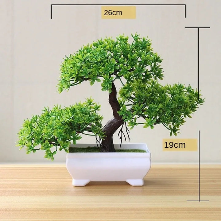 Stornfield | Small Tree Pot Bonsai Plants