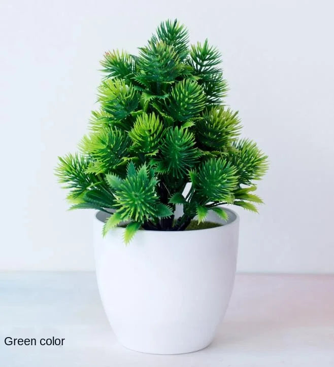 Stornfield | Small Tree Pot Bonsai Plants