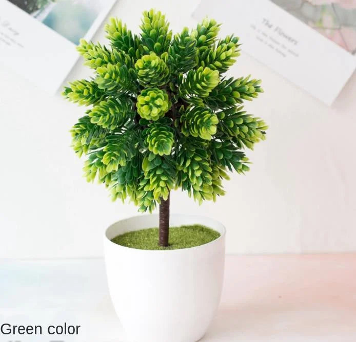 Stornfield | Small Tree Pot Bonsai Plants