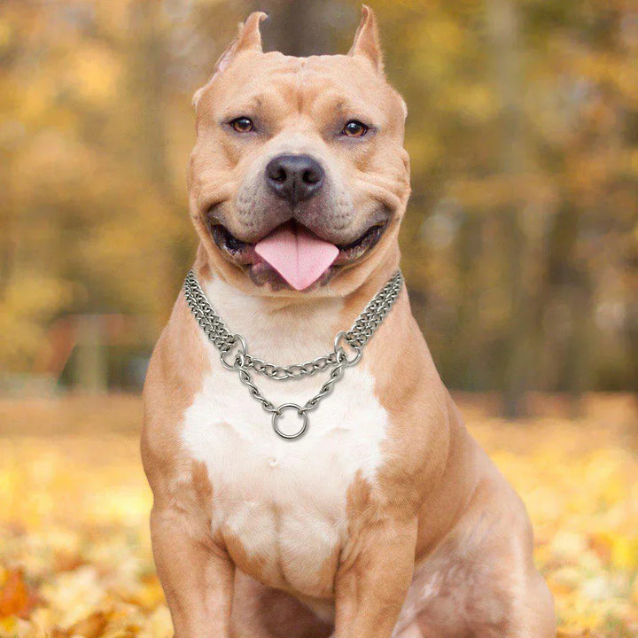 Stornfield | Stainless Steel Dog Training Collar