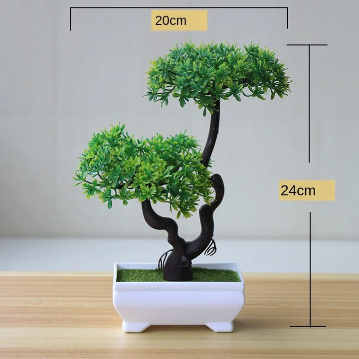 Stornfield | Small Tree Pot Bonsai Plants