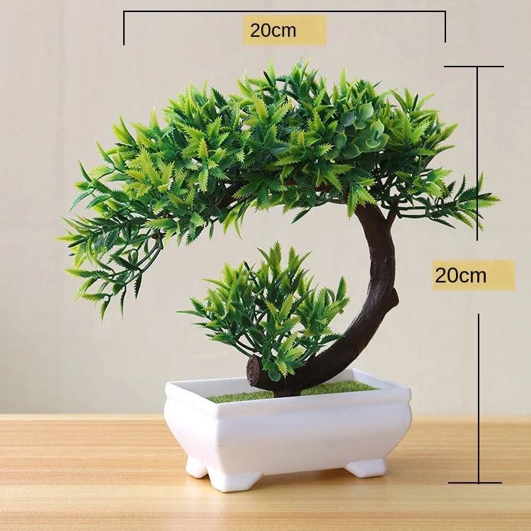 Stornfield | Small Tree Pot Bonsai Plants
