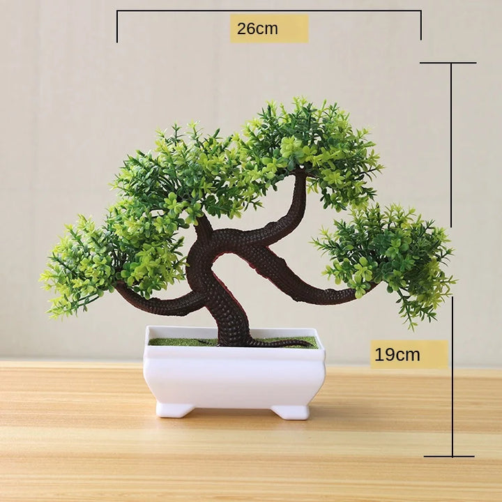 Stornfield | Small Tree Pot Bonsai Plants