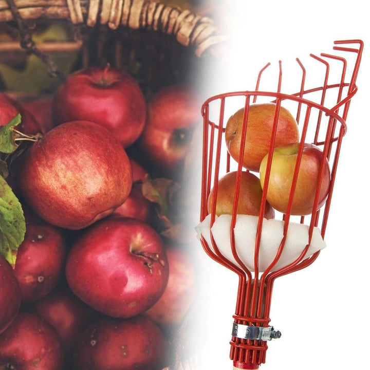 Fruit Picker Tool | Stornfield