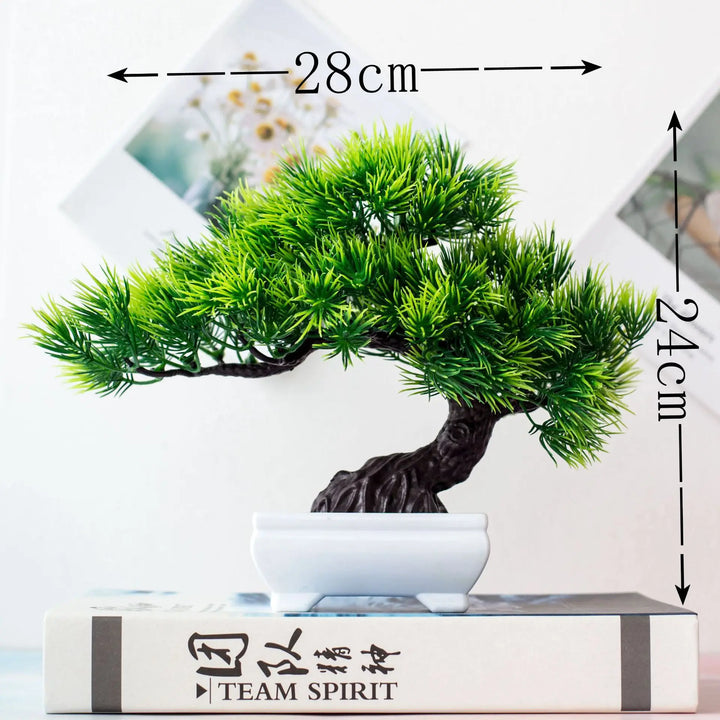 Stornfield | Small Tree Pot Bonsai Plants