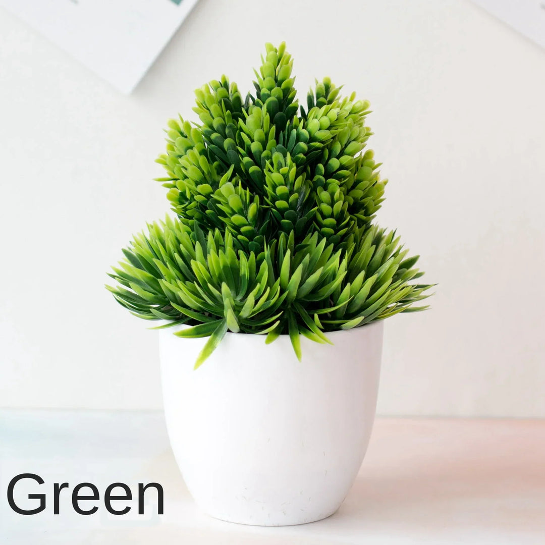 Stornfield | Small Tree Pot Bonsai Plants