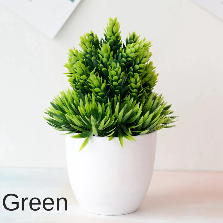 Stornfield | Small Tree Pot Bonsai Plants