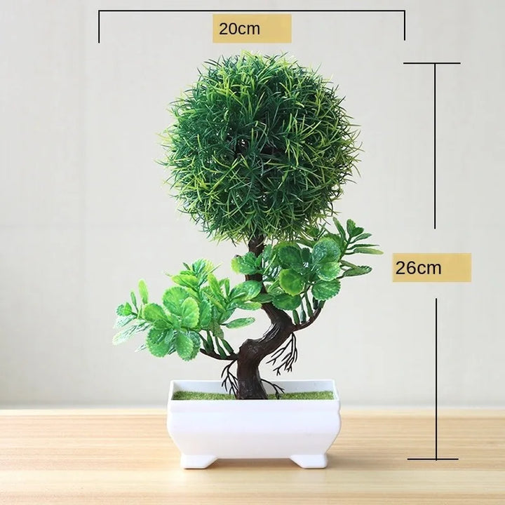 Stornfield | Small Tree Pot Bonsai Plants