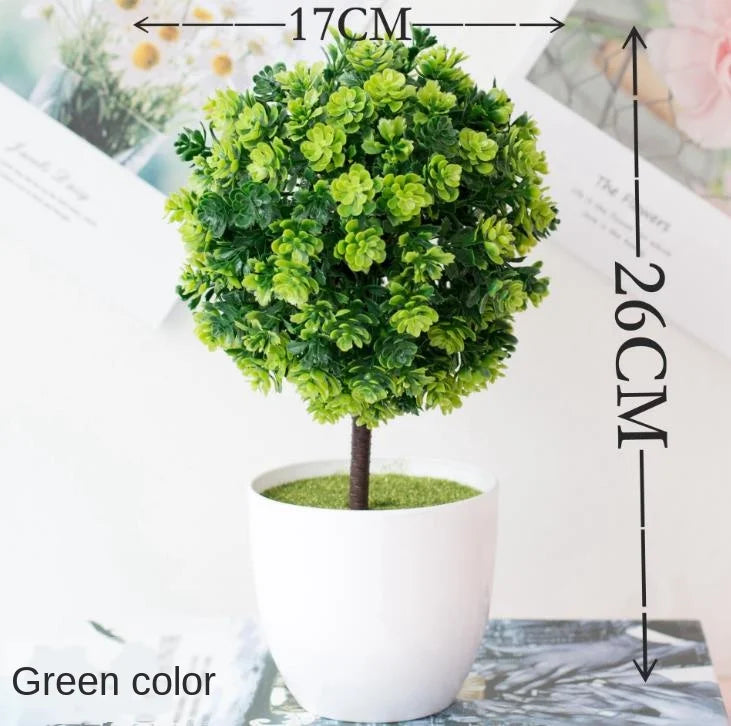 Stornfield | Small Tree Pot Bonsai Plants