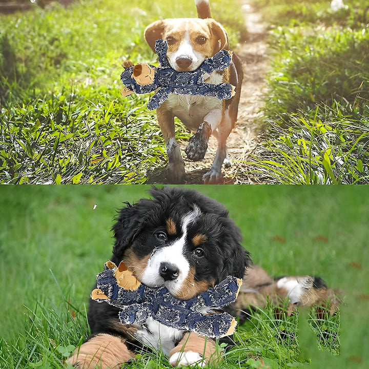 Stornfield | Indestructible rugged bear