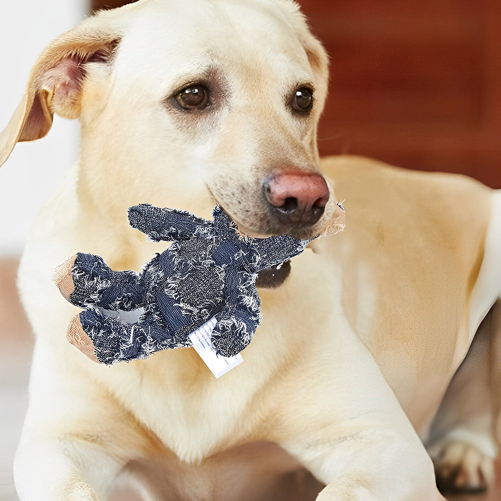 Stornfield | Indestructible rugged bear