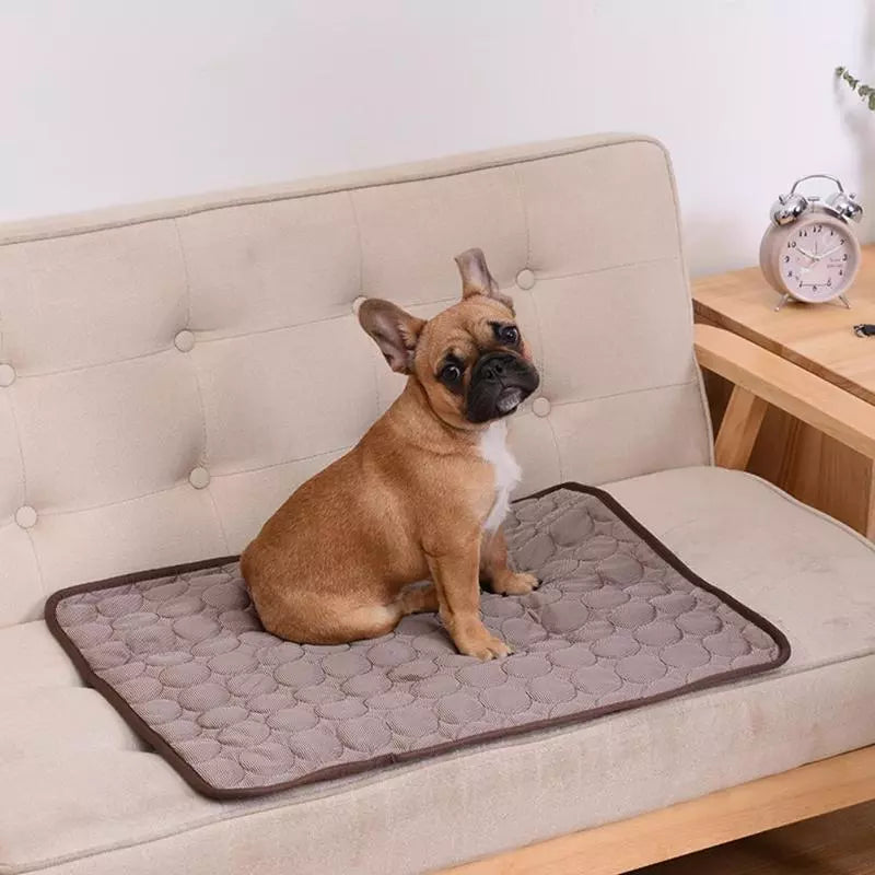Summer Cooling Dog Mat: Breathable Pad for Dogs and Cats - Washable Pet Bed Blanket for Small, Medium, and Large Dogs, Ideal for Cars | Stornfield