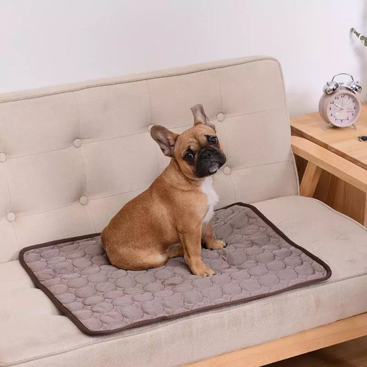 Summer Cooling Dog Mat: Breathable Pad for Dogs and Cats - Washable Pet Bed Blanket for Small, Medium, and Large Dogs, Ideal for Cars | Stornfield